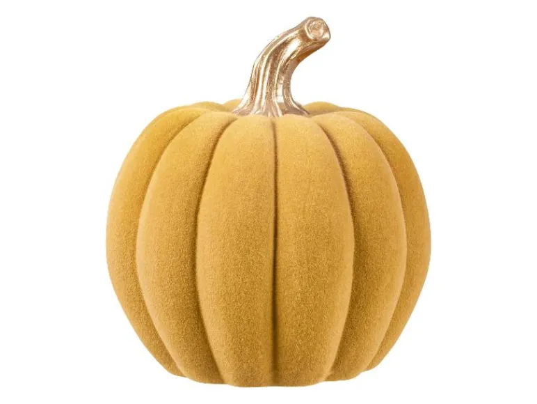 Herfst decoratie<LIVARNO home Sale