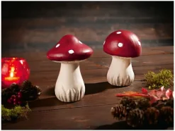Herfst decoratie<LIVARNO home