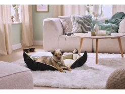 Honden rollijn met LED<zoofari® Online