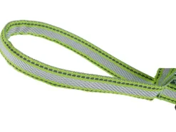 Honden rollijn met LED<zoofari® Online