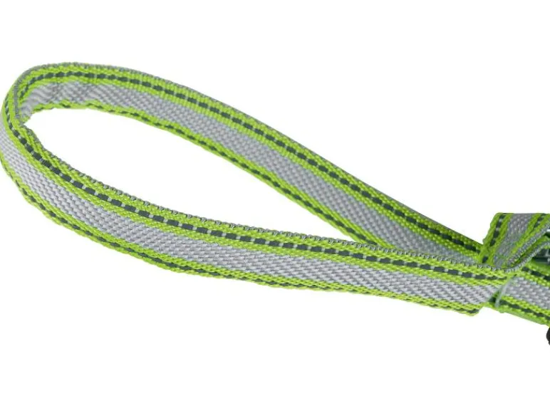 Honden rollijn met LED<zoofari® Online