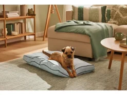 Hondenbed 90 x 60 cm<zoofari® Discount