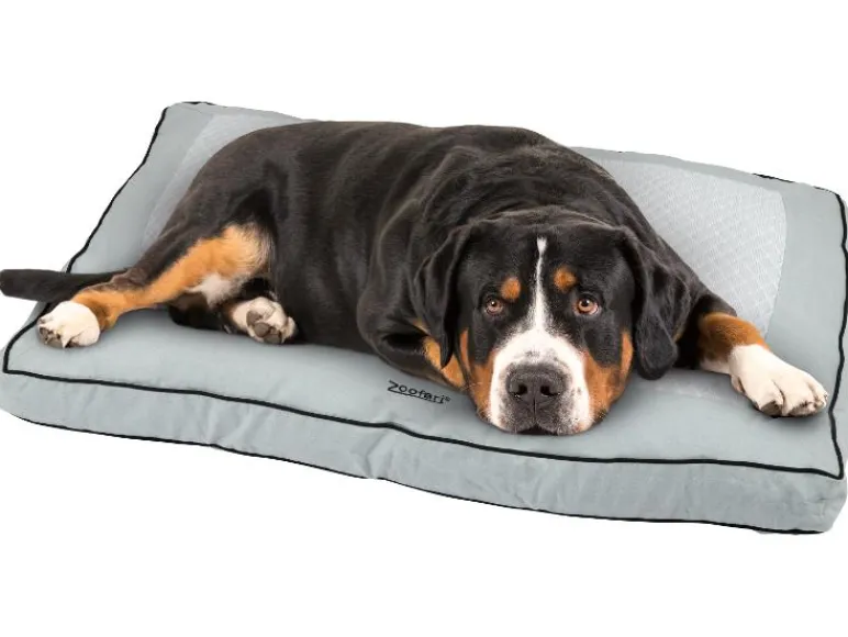 Hondenbed 90 x 60 cm<zoofari® Discount