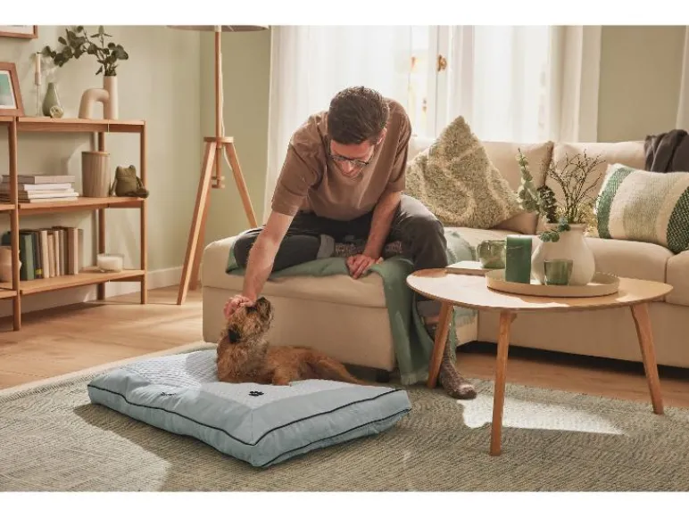Hondenbed 90 x 60 cm<zoofari® Discount