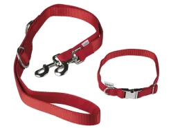 Hondenhalsband<zoofari®