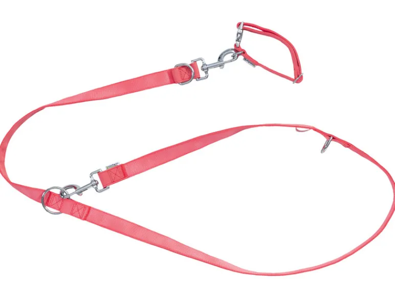 Hondenhalsband en riem<zoofari® Hot
