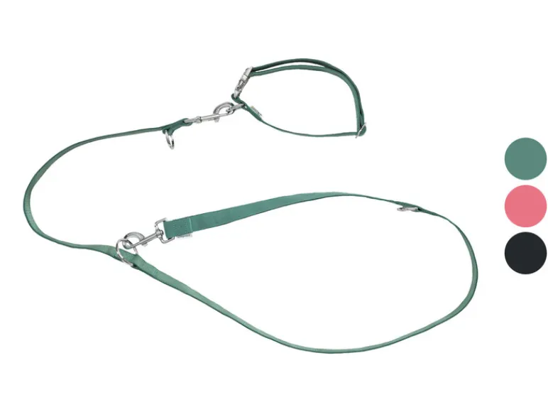 Hondenhalsband en riem<zoofari® Hot