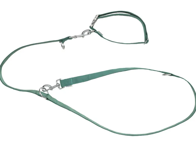 Hondenhalsband en riem<zoofari® Hot