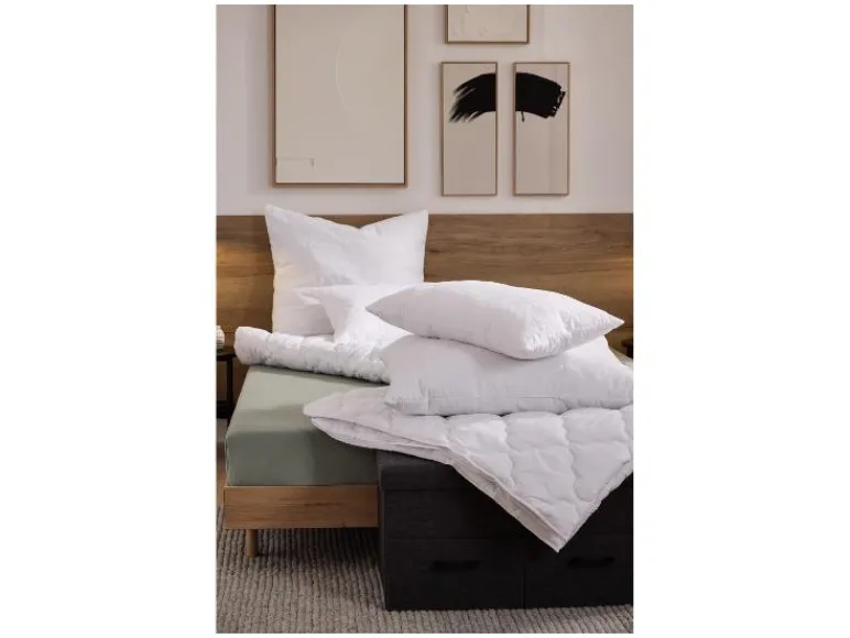 Hoofdkussen 50 x 60 cm<LIVARNO® Clearance