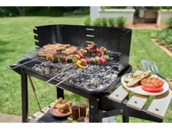 Houtskool BBQ<GRILLMEISTER Clearance