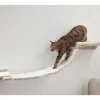 Katten klimmuur<KERBL Online
