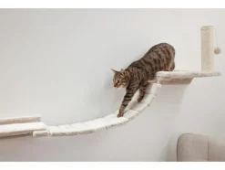 Katten klimmuur<KERBL Online