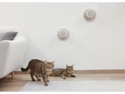 Katten klimmuur<KERBL Online
