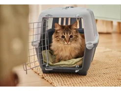 Kattenbak of transportbox<zoofari® New