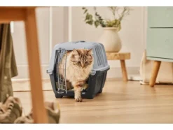 Kattenbak of transportbox<zoofari® New