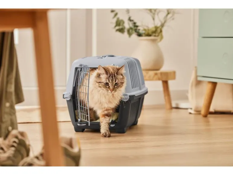 Kattenbak of transportbox<zoofari® New