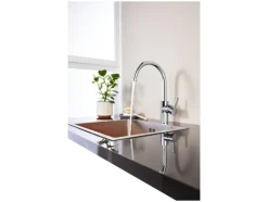 Keukenkraan<LIVARNO home Discount
