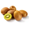 Kiwi groen< Outlet