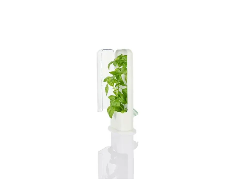 Kruidencontainer<LIVARNO home Discount