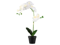 Kunstplant<LIVARNO home Sale