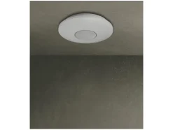 LED plafondlamp met Bluetooth® luidspreker<LIVARNO home Discount