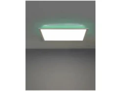 LED-plafondlamp<LIVARNO home Sale