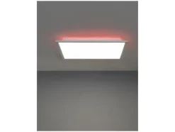 LED-plafondlamp<LIVARNO home Sale