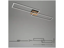 Plafondlamp<Briloner Discount
