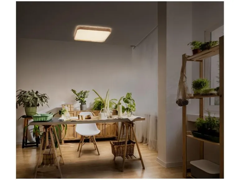 Plafondlamp<OSRAM Hot