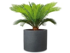 Plantenbak<Scheurich Online
