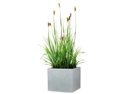Plantenbak<Scheurich