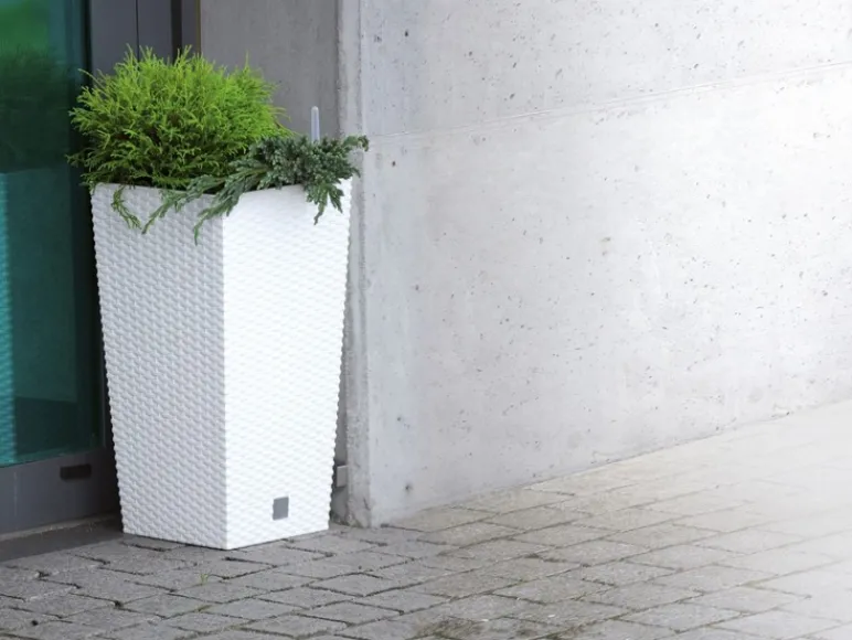 Plantenbak<Prosperplast Discount