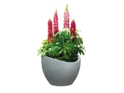 Plantenbak<Scheurich Hot