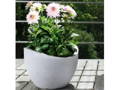 Plantenbak<Scheurich Hot