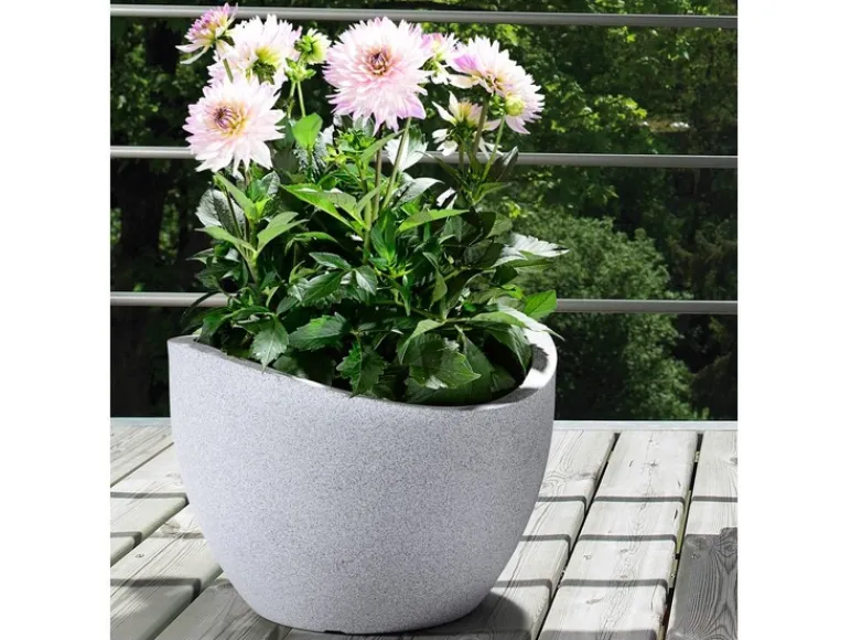 Plantenbak<Scheurich Hot