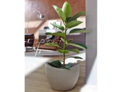 Plantenbak<Scheurich Hot