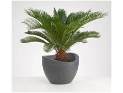 Plantenbak<Scheurich Hot