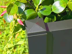 Plantenbak met klimrek<KHW Clearance