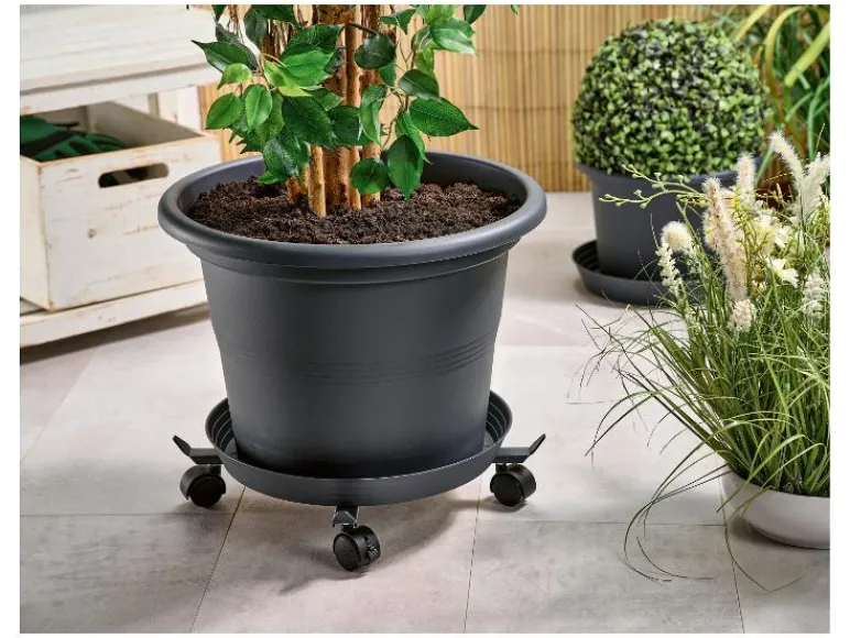 Plantenonderzetter<PARKSIDE® Discount