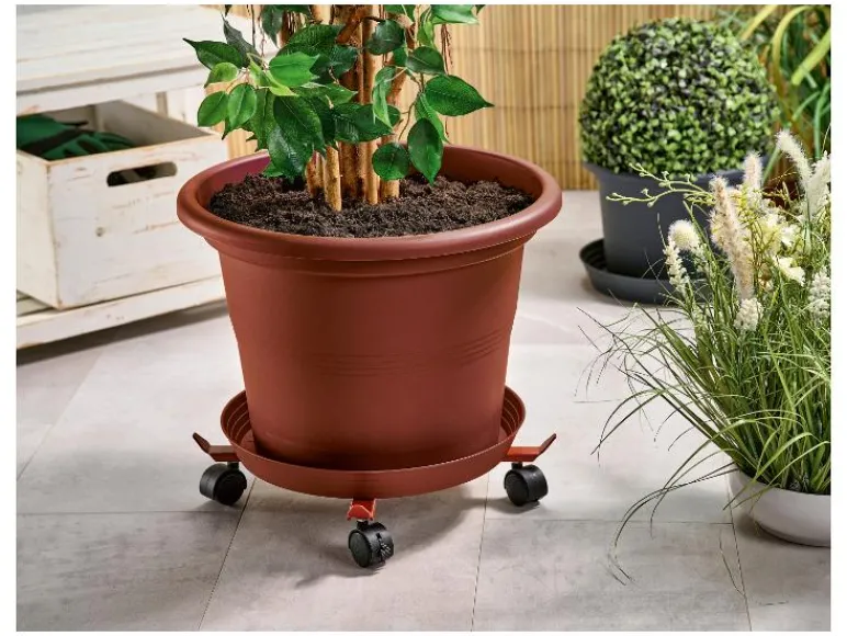 Plantenonderzetter<PARKSIDE® Discount