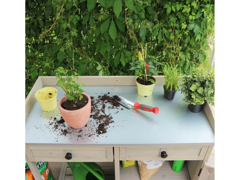Plantentafel<HABAU Sale