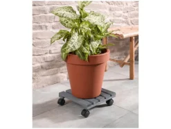 Plantentrolley<PARKSIDE® Online