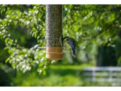 Premium vogel voederbak<dobar Online