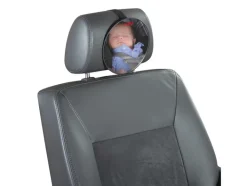Veiligheidsspiegel<Reer Best