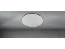 RGB plafondlamp met afstandsbediening<LIVARNO home Hot