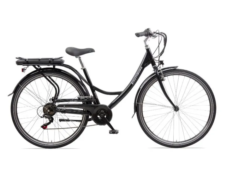 Senne Elektrische fiets<Teutoburg Online