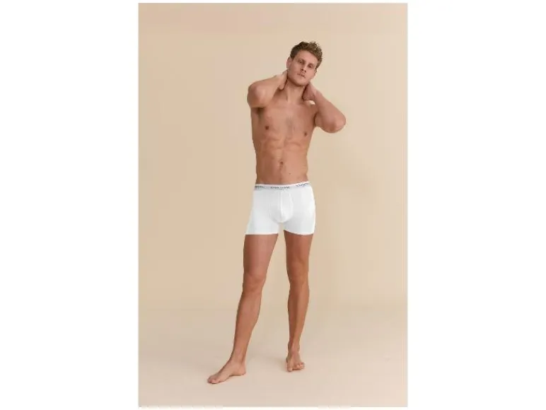 Set van 2 heren boxers<Strenesse Blue Online