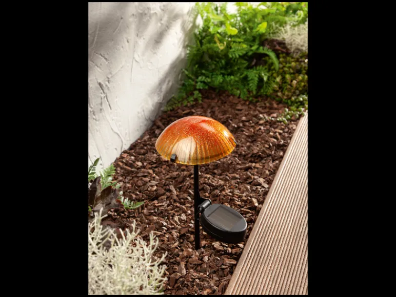 Solar LED-paddenstoel<LIVARNO home Outlet