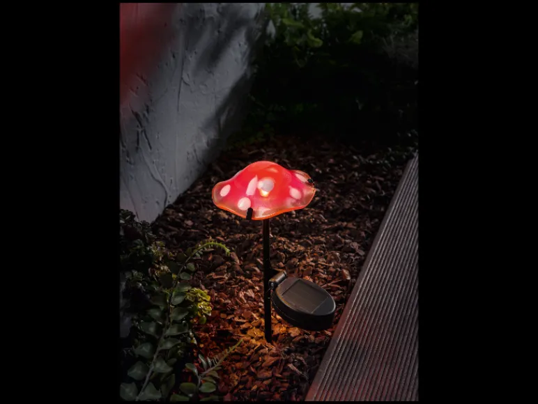Solar LED-paddenstoel<LIVARNO home Outlet