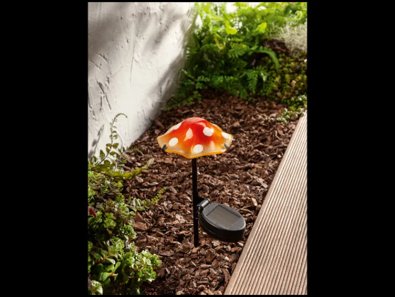 Solar LED-paddenstoel<LIVARNO home Outlet